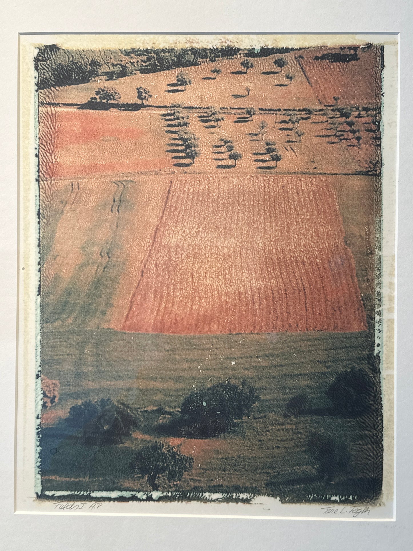 Fields 1 | Tone Fogth