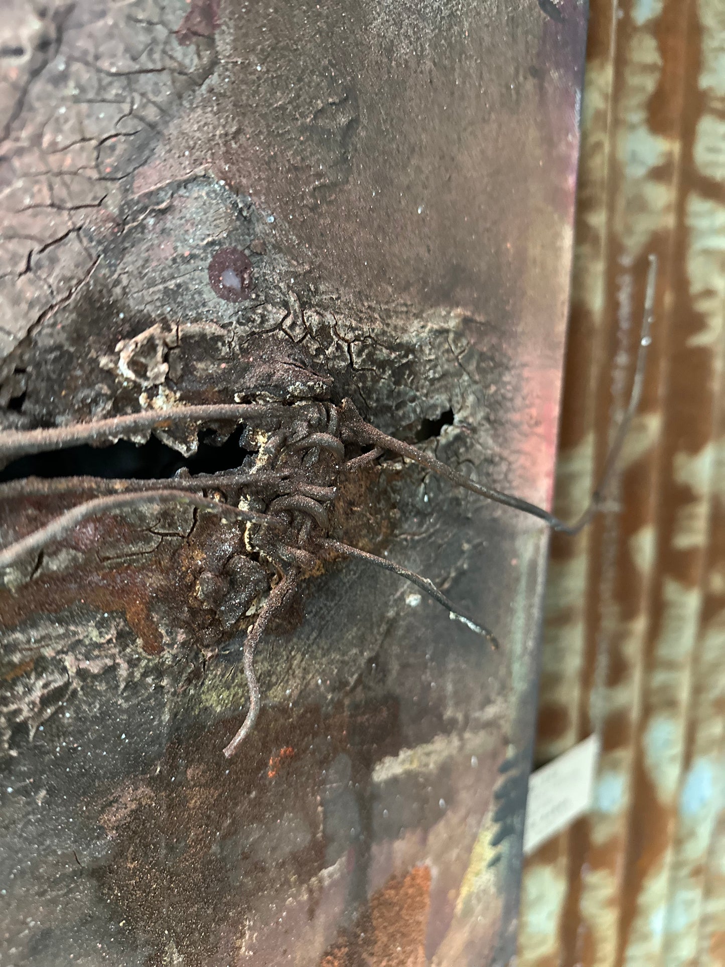 The end | Bente Rabba