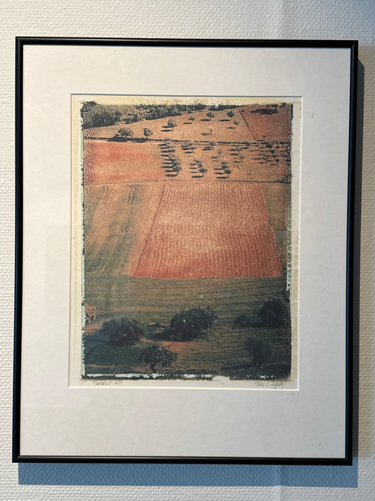 Fields 1 | Tone Fogth